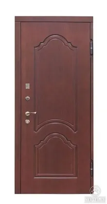 Металлическая дверь 133