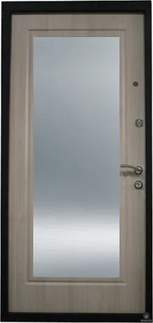 Металлическая дверь 30
