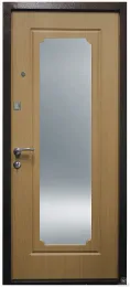 Металлическая дверь 21